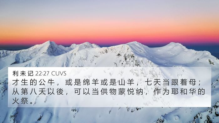 利 未 记 22:27 CUVS 4K Wallpaper - 才 生 的 公 牛 ， 或 是 绵 羊 或 是 - 4K Wallpaper Bible Verse