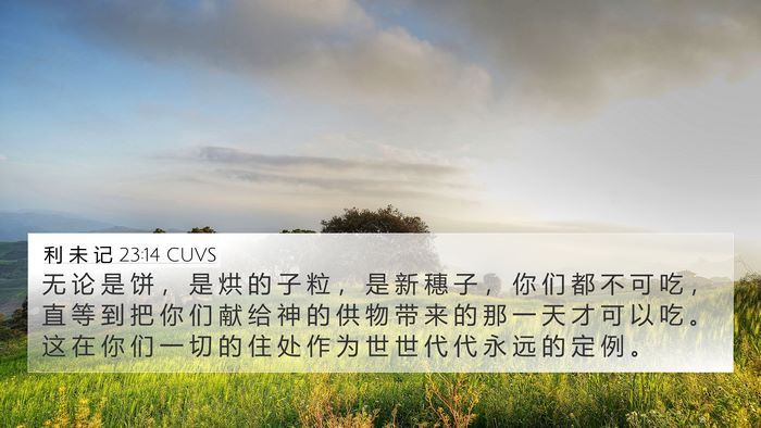 利 未 记 23:14 CUVS Bible Verse Image