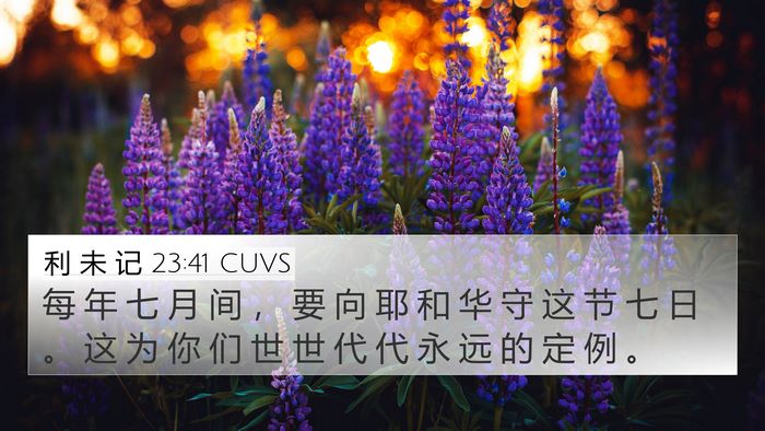 利 未 记 23:41 CUVS 4K Wallpaper - 每 年 七 月 间 ， 要 向 耶 和 华 守 - 4K Wallpaper Bible Verse
