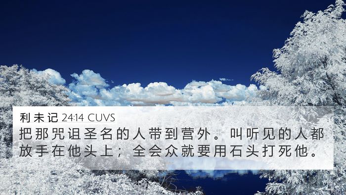 利 未 记 24:14 CUVS Bible Verse Image