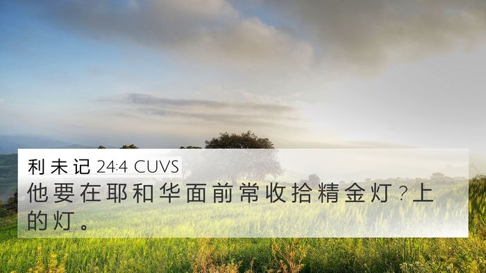 利 未 记 24:4 CUVS Bible Verse Image