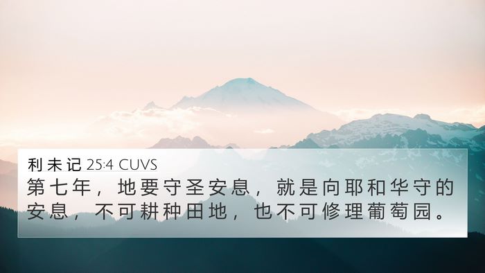 利 未 记 25:4 CUVS 4K Wallpaper - 第 七 年 ， 地 要 守 圣 安 息 ， 就 - 4K Wallpaper Bible Verse