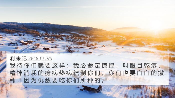 利 未 记 26:16 CUVS Bible Verse Image
