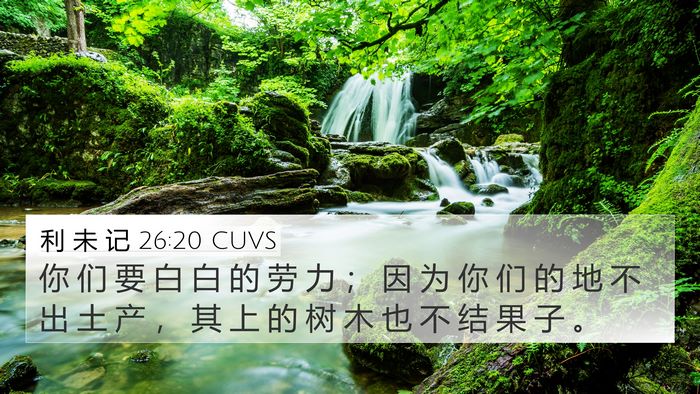 利 未 记 26:20 CUVS Bible Verse Image
