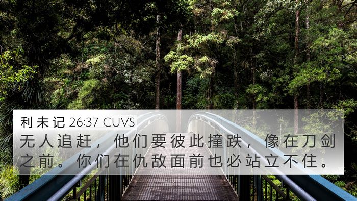 利 未 记 26:37 CUVS Bible Verse Image