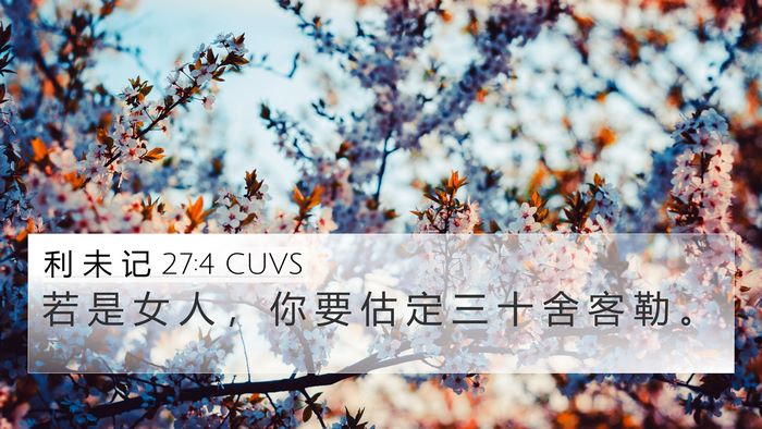 利 未 记 27:4 CUVS 4K Wallpaper - 若 是 女 人 ， 你 要 估 定 三 十 舍 - 4K Wallpaper Bible Verse