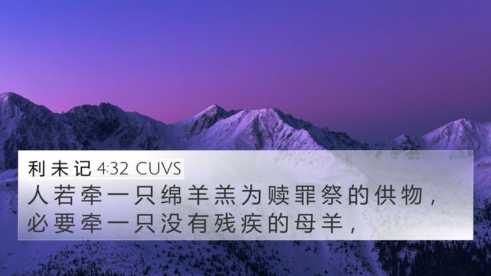 利 未 记 4:32 CUVS 4K Wallpaper - 人 若 牵 一 只 绵 羊 羔 为 赎 罪 祭 - 4K Wallpaper Bible Verse