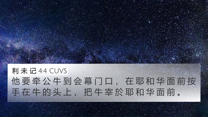 利 未 记 4:4 CUVS 4K Wallpaper - 他 要 牵 公 牛 到 会 幕 门 口 ， 在 - 4K Wallpaper Bible Verse