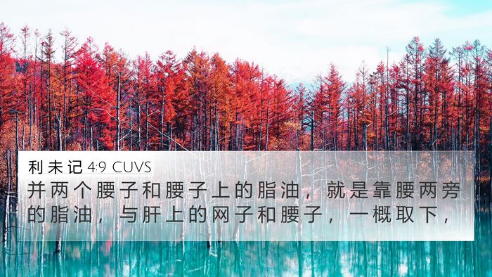利 未 记 4:9 CUVS Bible Verse Image