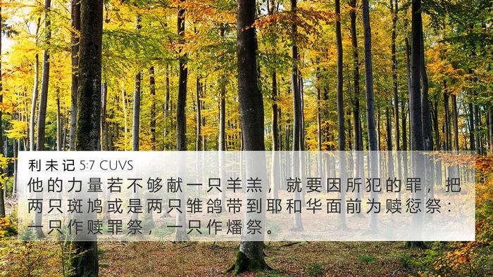利 未 记 5:7 CUVS Bible Verse Image