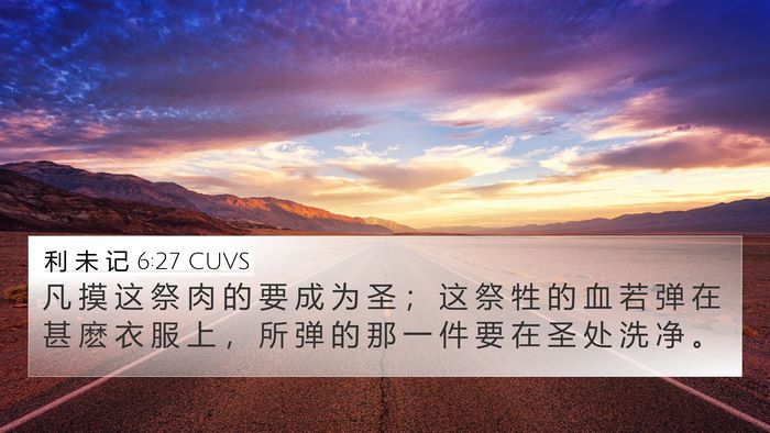 利 未 记 6:27 CUVS Bible Verse Image