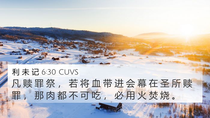 利 未 记 6:30 CUVS Bible Verse Image