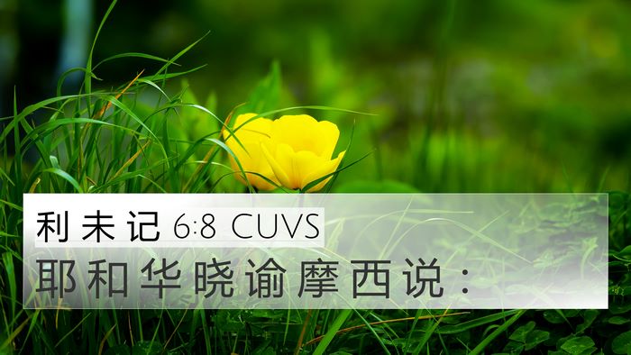 利 未 记 6:8 CUVS 4K Wallpaper - 耶 和 华 晓 谕 摩 西 说 - 4K Wallpaper Bible Verse