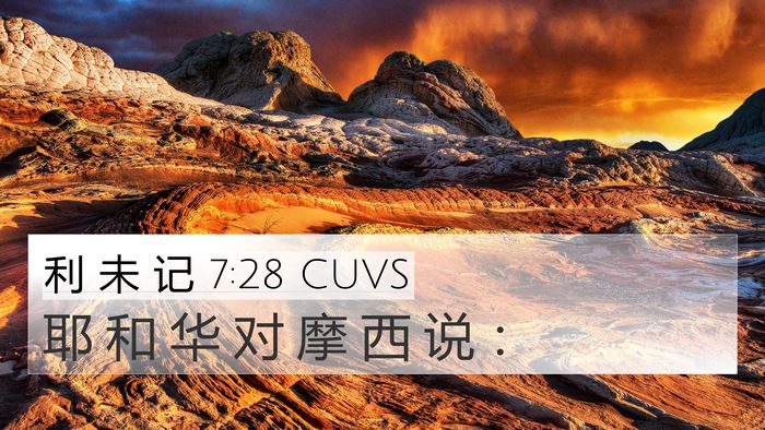 利 未 记 7:28 CUVS 4K Wallpaper - 耶 和 华 对 摩 西 说 - 4K Wallpaper Bible Verse