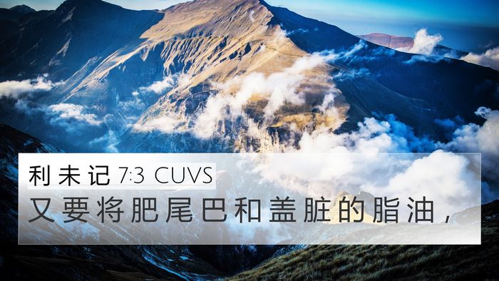 利 未 记 7:3 CUVS Bible Verse Image