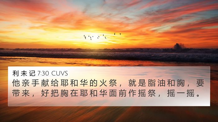 利 未 记 7:30 CUVS Bible Verse Image