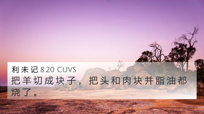 利 未 记 8:20 CUVS 4K Wallpaper - 把 羊 切 成 块 子 ， 把 头 和 肉 块 - 4K Wallpaper Bible Verse