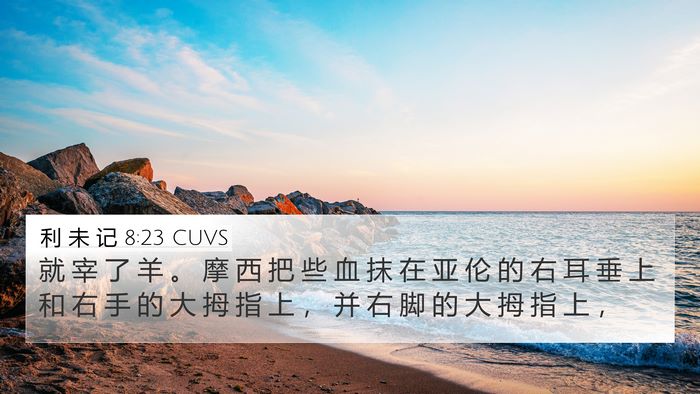 利 未 记 8:23 CUVS 4K Wallpaper - 就 宰 了 羊 。 摩 西 把 些 血 抹 在 - 4K Wallpaper Bible Verse