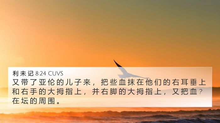 利 未 记 8:24 CUVS 4K Wallpaper - 又 带 了 亚 伦 的 儿 子 来 ， 把 些 - 4K Wallpaper Bible Verse