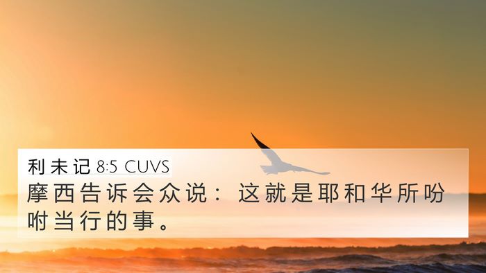 利 未 记 8:5 CUVS 4K Wallpaper - 摩 西 告 诉 会 众 说 ： 这 就 是 耶 - 4K Wallpaper Bible Verse