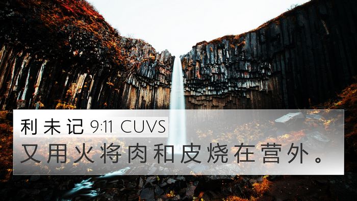 利 未 记 9:11 CUVS 4K Wallpaper - 又 用 火 将 肉 和 皮 烧 在 营 外 - 4K Wallpaper Bible Verse