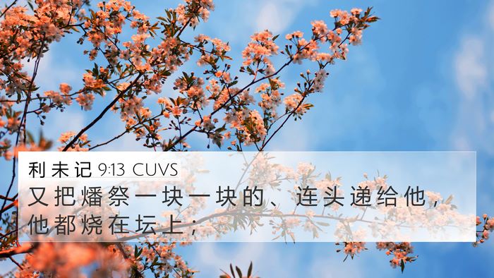 利 未 记 9:13 CUVS Bible Verse Image