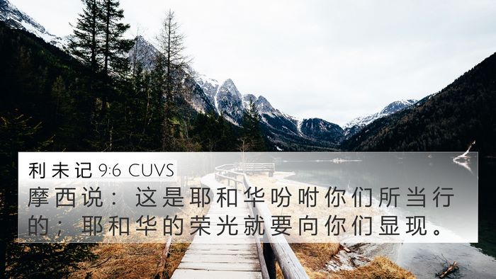 利 未 记 9:6 CUVS Bible Verse Image