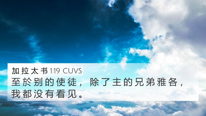 加 拉 太 书 1:19 CUVS Bible Verse Image