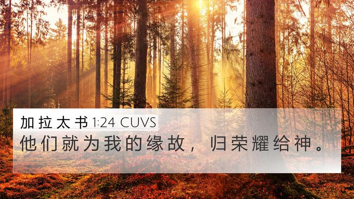 加 拉 太 书 1:24 CUVS Bible Verse Image
