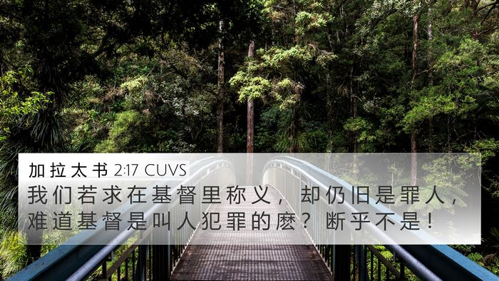 加 拉 太 书 2:17 CUVS Bible Verse Image