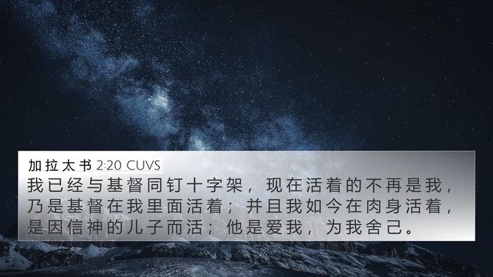 加 拉 太 书 2:20 CUVS Bible Verse Image