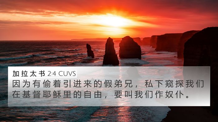 加 拉 太 书 2:4 CUVS Bible Verse Image