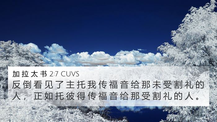 加 拉 太 书 2:7 CUVS Bible Verse Image