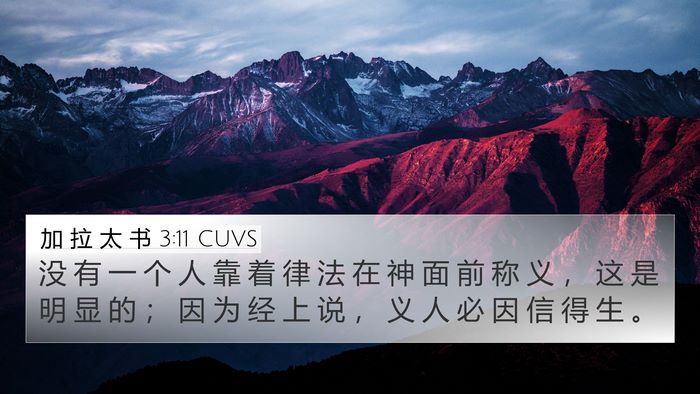 加 拉 太 书 3:11 CUVS Bible Verse Image