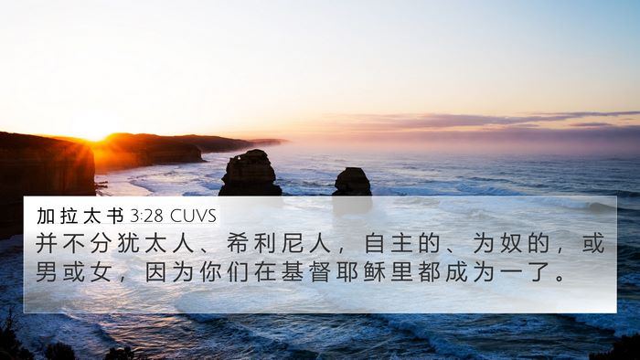 加 拉 太 书 3:28 CUVS Bible Verse Image