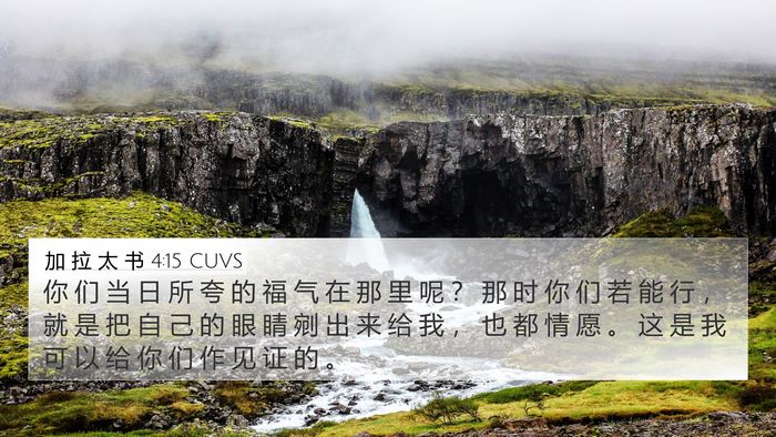 加 拉 太 书 4:15 CUVS Bible Verse Image