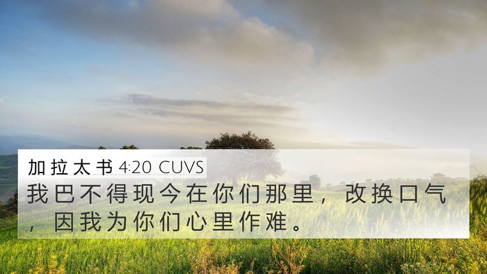 加 拉 太 书 4:20 CUVS Bible Verse Image