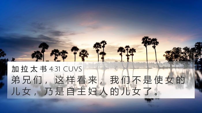 加 拉 太 书 4:31 CUVS Bible Verse Image