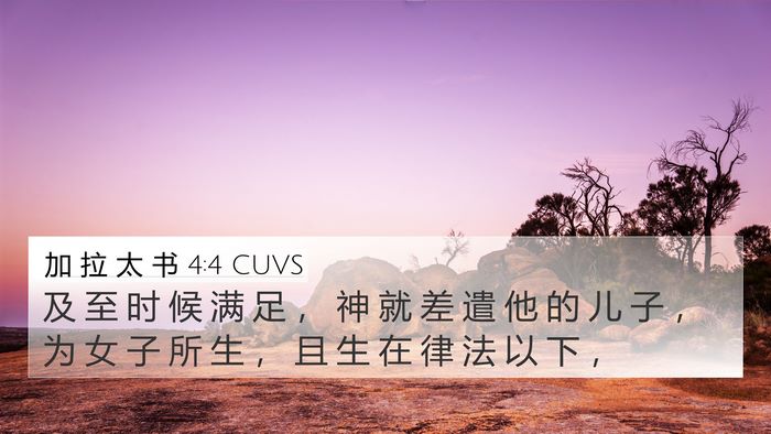 加 拉 太 书 4:4 CUVS Bible Verse Image