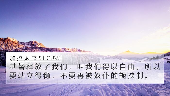 加 拉 太 书 5:1 CUVS Bible Verse Image