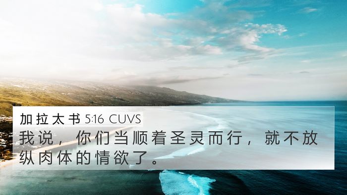 加 拉 太 书 5:16 CUVS Bible Verse Image