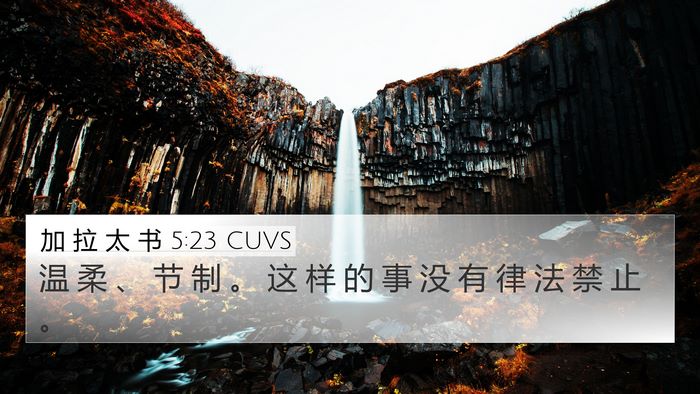 加 拉 太 书 5:23 CUVS Bible Verse Image
