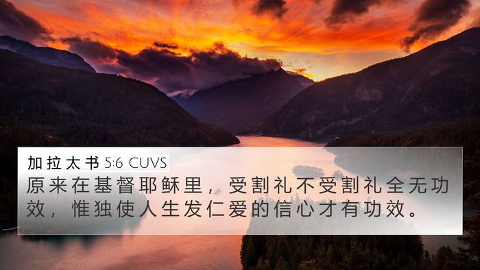 加 拉 太 书 5:6 CUVS Bible Verse Image