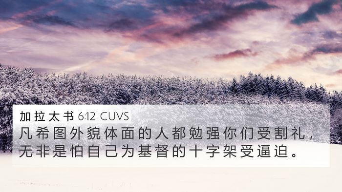 加 拉 太 书 6:12 CUVS Bible Verse Image