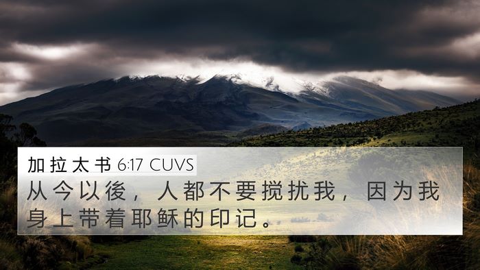 加 拉 太 书 6:17 CUVS Bible Verse Image