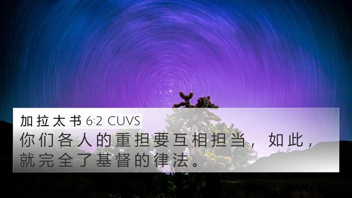 加 拉 太 书 6:2 CUVS Bible Verse Image