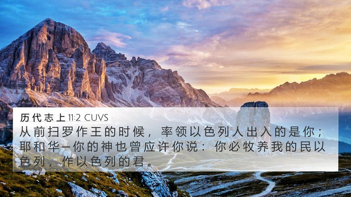 历 代 志 上 11:2 CUVS Bible Verse Image