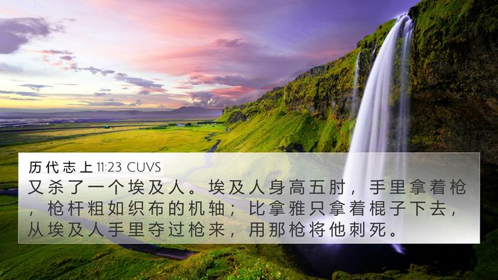 历 代 志 上 11:23 CUVS Bible Verse Image