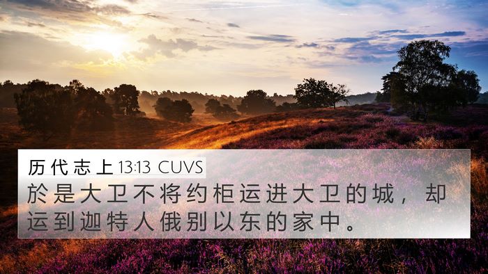 历 代 志 上 13:13 CUVS Bible Verse Image