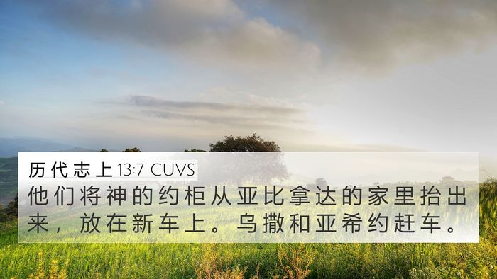 历 代 志 上 13:7 CUVS Bible Verse Image
